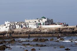 Image du Maroc Professionnelle de  Le Marabout Sidi Abderrahmane sur le rocher de l'îlot du même nom situé à quelques mètres de la corniche de Casablanca, un peu plus loin de la koubba qui abrite le marabout ; Les pèlerins affluent pour se purifier, jeter un sort ou faire un sacrifice , Lundi  7 Octobre 2012. (Photo / Abdeljalil Bounhar) 